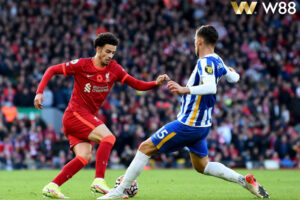 Read more about the article NHẬN ĐỊNH BÓNG ĐÁ LIVERPOOL VS BRIGHTON, 22H00 NGÀY 2/11: NHỌC NHẰN HẠ CHIM MÒNG BIỂN