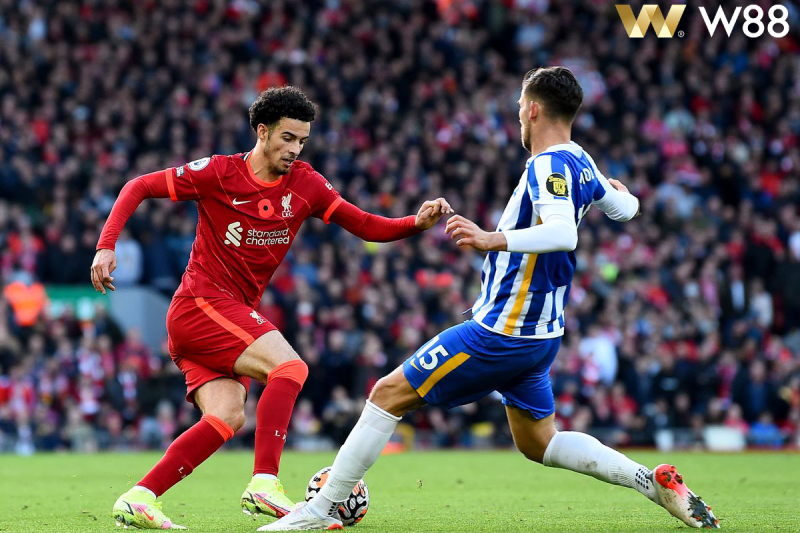 You are currently viewing NHẬN ĐỊNH BÓNG ĐÁ LIVERPOOL VS BRIGHTON, 22H00 NGÀY 2/11: NHỌC NHẰN HẠ CHIM MÒNG BIỂN